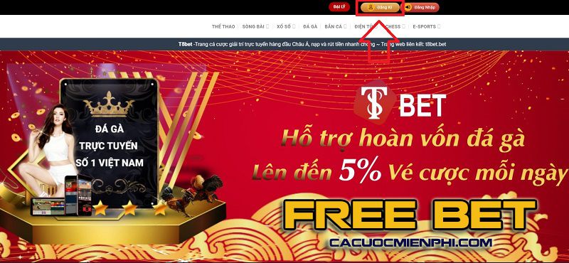 Bạn nên đầu tư vào những gì để xây dựng một trang web game đạt chuẩn 1Win? - 1Win