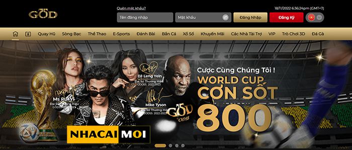 Các câu hỏi liên quan đến vụ lừa đảo For88 - For88