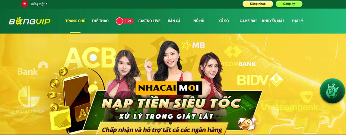 Hướng dẫn của Vz99 và các hướng dẫn khác - Vz99