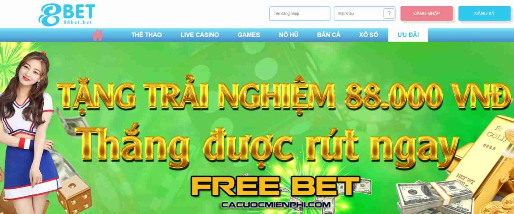 Các ngân hàng được xếp hạng Do99 cung cấp nhiều loại tiền thưởng khác nhau - Do99