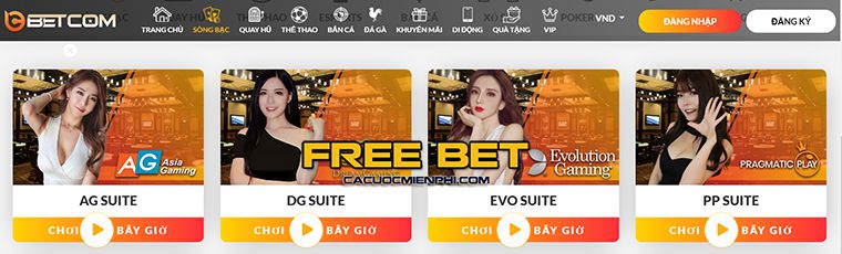 Ứng dụng Mu9 dành cho thiết bị di động năm 2026 – Tối ưu hóa cho Android APK và iOS PWA - Mu9