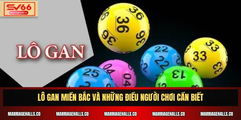 Tiền thưởng chào mừng cá cược Ho88 - Ho88