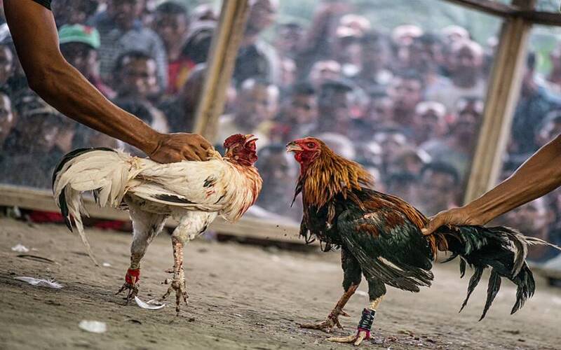 Đăng nhập hoặc nạp tiền bằng Sodo66 để trải nghiệm ngay! - Sodo66