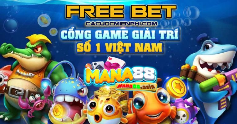 N666 Games cung cấp tỷ lệ cược cho nhiều trận đấu bóng đá khác nhau - N666