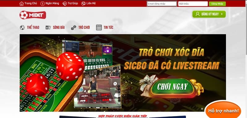 Tải xuống hướng dẫn sử dụng ứng dụng Dewabet trên thiết bị iOS và Android - Dewabet
