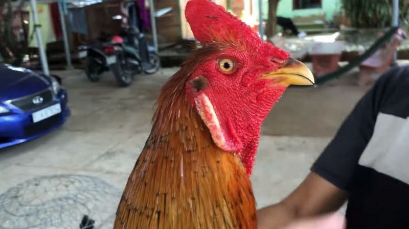 Đây là lý do tại sao các trò chơi cấp độ Pk88 có thể thu hút rất nhiều người chơi - Pk88