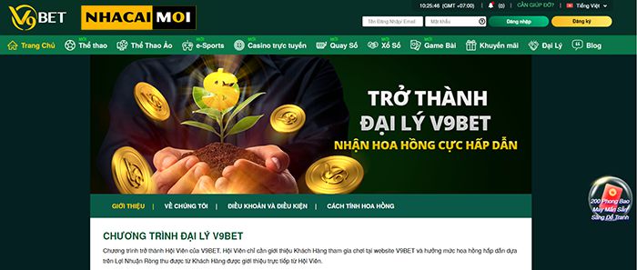 Tại sao nên chọn cá cược đá gà tại Công ty Pkwin Gaming? - Pkwin