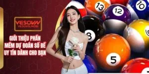 Tổ chức đối tác Betvip - Betvip