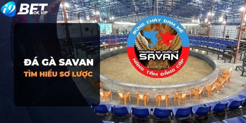 Sumvip (Số lượng lớn các hệ thống cá cược trên trang web) - Sumvip