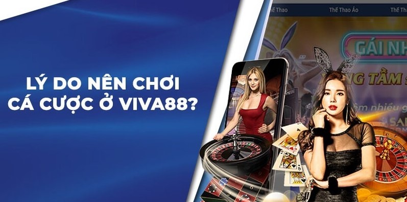 V6bet có hệ thống nhập liệu tuyệt vời - V6bet