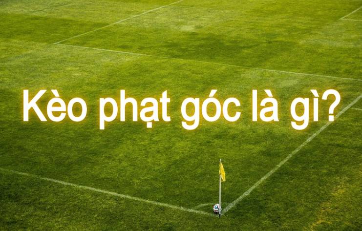 Các câu hỏi liên quan đến vụ lừa đảo N88 - N88