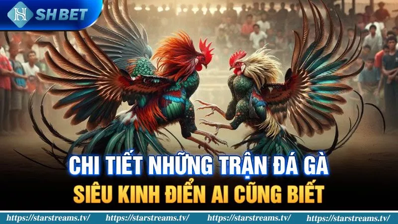 Liên kết đến trang web của Betvisa Games - Betvisa
